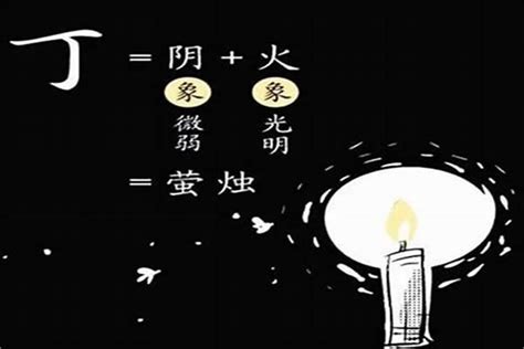 九運 丁火|九運大旺四號及DN 